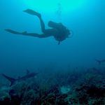 Profile Picture of Mandy Cummings (@mandyzcummings) on Instagram