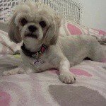 Profile Picture of Myrna L. Viera Agosto (@myrna_agosto) on Instagram