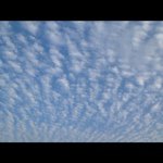 Profile Picture of fan_chiu (@fan_chiu) on Instagram