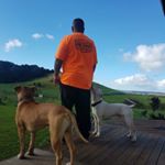 Profile Picture of Jason Ramm (@honestlivingman_) on Instagram