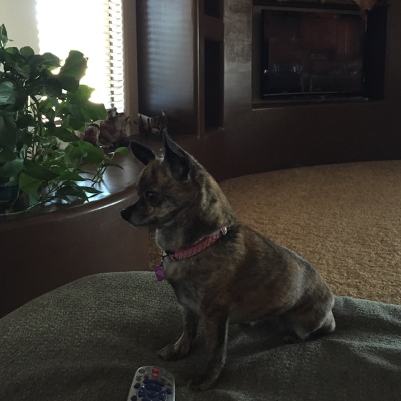 Profile Picture of Kelly Cieszinski (@kellyjocz) on Poshmark