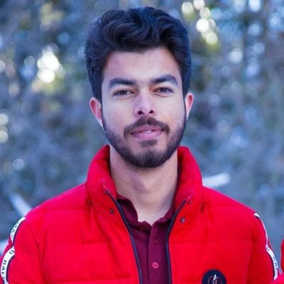 Profile Picture of 𝚂𝚢𝚎𝚍 𝙷𝚊𝚖𝚣𝚊 𝚁𝚒𝚣𝚟𝚒 (@hamzarizvi7) on Twitter