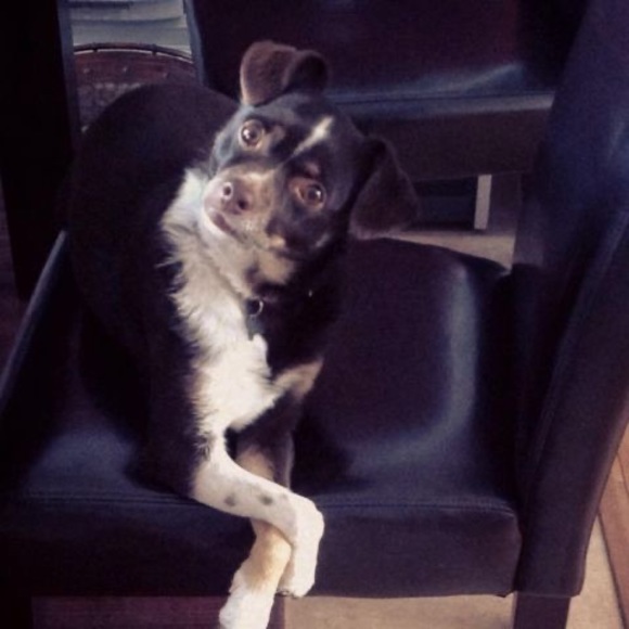 Profile Picture of Karen Fiander (@karenmariea14) on Poshmark