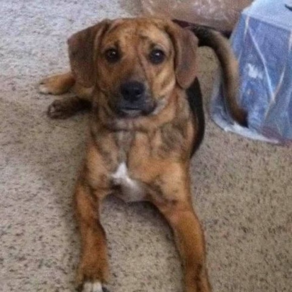 Profile Picture of Stephanie Glenn murphy (@msmurf2022) on Poshmark