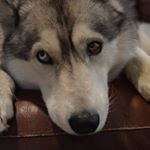 Profile Picture of Jonathan Wilton (@jona22222) on Instagram