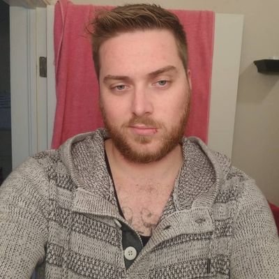 Profile Picture of David B (@David27Bier) on Twitter