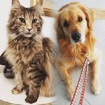 Queen.Birba_King.Aron - Instagram Profile Picture of Queen.Birba_King.Aron (@queen.birba_king.aron) on Instagram