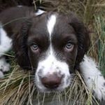 Profile Picture of Diane Higgins (@diane.higgins.3979) on Instagram