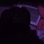 Profile Picture of Amiyah Schexnider (@Amiyah-Schexnider) on Facebook