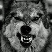 Profile Picture of Leonard Müller (@leonard-müller) on Quora