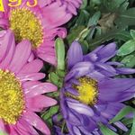 other__joe - Instagram Profile Picture of other__joe (@other__joe) on Instagram