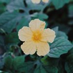 Profile Picture of Jillian C (@jillian_photo.graphy) on Instagram