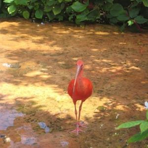 Profile Picture of Nicholas Diaz (@409838180) on Myspace