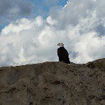 Profile Picture of Darrell Alberta (@albertadarrell) on Instagram