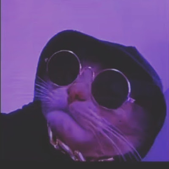 Profile Picture of Tyson Hasher (@tyson_h821) on Poshmark