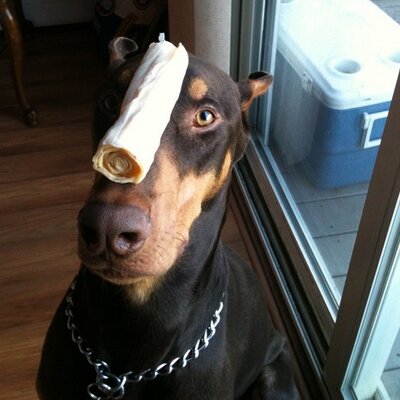 Profile Picture of Michael Ryskamp (@MRyskamp) on Twitter