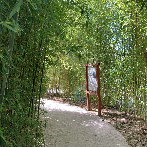 Jacob Shubin - Poshmark Profile Picture of Jacob Shubin (@jshubin18) on Poshmark