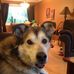 Profile Picture of Aaron Souders (@aaron.souders.3705) on Facebook