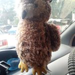Profile Picture of kully joseph (@josephkully) on Instagram