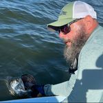 Profile Picture of Steve Grubbs (@sgrubbs7) on Instagram
