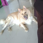 Profile Picture of Jimmy Anderson (@jimmyanderson709) on Youtube