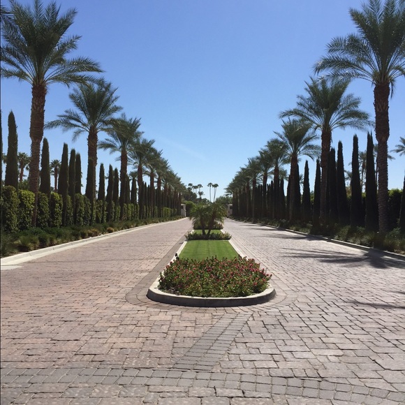 Profile Picture of Michele Stuetzel (@justmook) on Poshmark