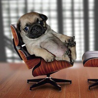 Profile Picture of Wen Zhen (@cenz999) on Twitter