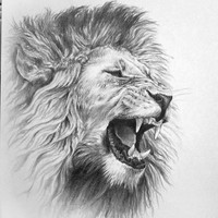 Profile Picture of Danny Deleon (@danny-deleon-12) on Quora