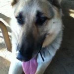 Profile Picture of Ashlie Veazey-Darke (@joedarke1) on Instagram