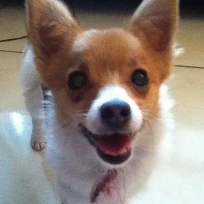 Profile Picture of Fiona (@FionaMcCormack7) on Twitter
