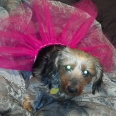 Profile Picture of Ryan Markowski (@makaski80) on Twitter