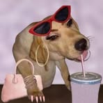 Profile Picture of Zoe Yvette L. Bareng (@Zoe-Yvette-L-Bareng) on Facebook