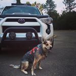 Profile Picture of Michael Nilson (@rexninja14) on Instagram