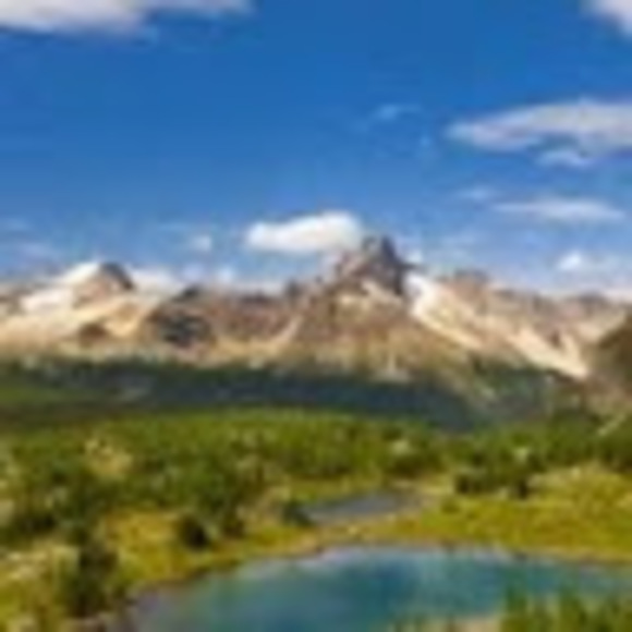 Profile Picture of Jesse Schulze (@jesseschulze10) on Poshmark