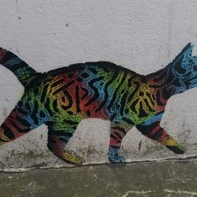 Profile Picture of steve wright (@cambridge62) on Pinterest