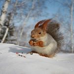 Profile Picture of Mary Taylor (@bruchanovjjx86o7pu2q5) on Instagram