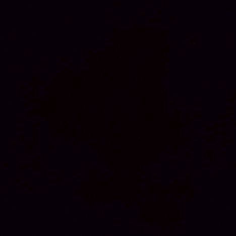 Profile Picture of Javier Guadalupe (@javier.guadalupe05) on Tiktok