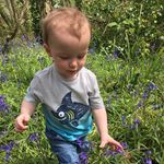 Profile Picture of Gary Chiswell (@garychiswell) on Instagram