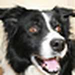 Profile Picture of Kyle Slade (@gubrats) on Flickr