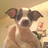 Profile Picture of Steven Carlson (@@scarlson621) on Tiktok