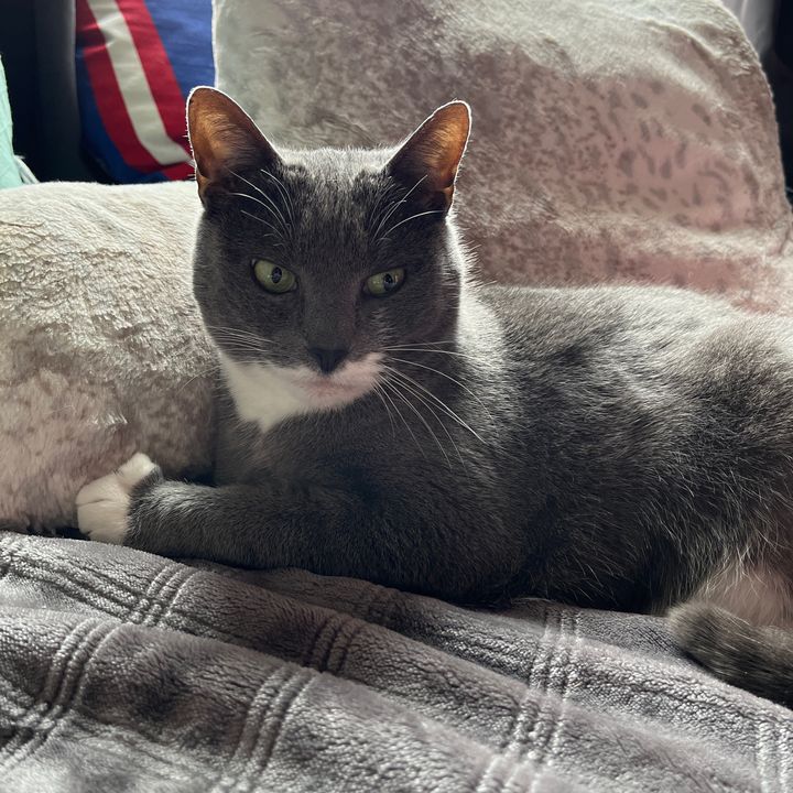 Profile Picture of Stephen Cinq (@_stephencinq_) on Tiktok