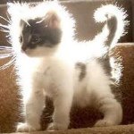 Profile Picture of Rochelle Smith (@chelleandrewssmith) on Instagram