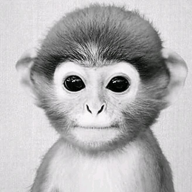 Profile Picture of Calvin Doherty (@calvindoc22) on Tiktok