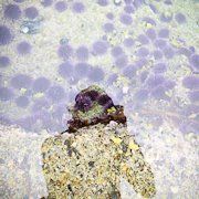 Profile Picture of Susan Keller (@skeller) on Pinterest