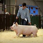 Profile Picture of Nelson Hanson (@nelson.hanson.33) on Facebook