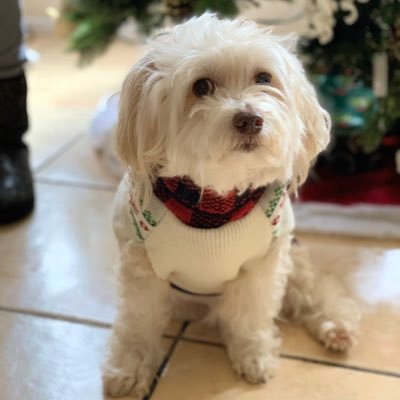 Profile Picture of Robin Mathis (@robbykinns) on Twitter