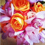 Profile Picture of John Thompson (@latestjavaabout) on Instagram