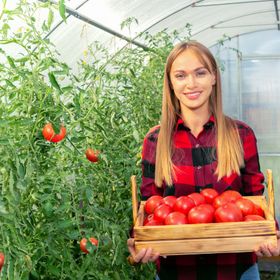 Profile Picture of KATHERINE | TOMATO PLANT CARE | TOMATO FOR SKIN AND BEAUTY (@tomatoplantcare) on Pinterest