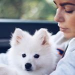 Profile Picture of Bobbie 🐾 (@bobbiethewolfpup) on Instagram