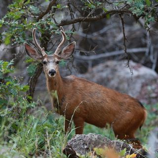 Profile Picture of James Gibbard (@james.gibbard.7) on Facebook